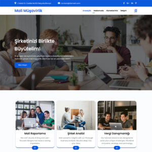 Muhasebe ve Mali Müşavir Hazır İnternet Sitesi